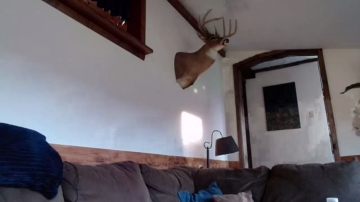 Lancehardin  14-09-2021 video amateur